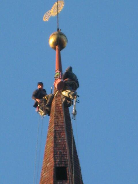 Foto: Bruno Tauderer