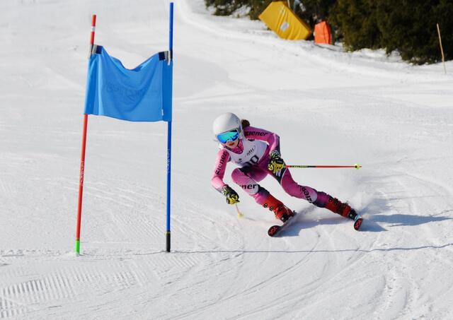 Der Westcup benötigt neue Riesentorlaufstangen. | Foto: Westcup