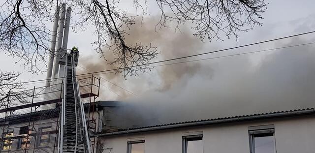 Foto: Gabi Holnsteiner - Robert Rieger Photography