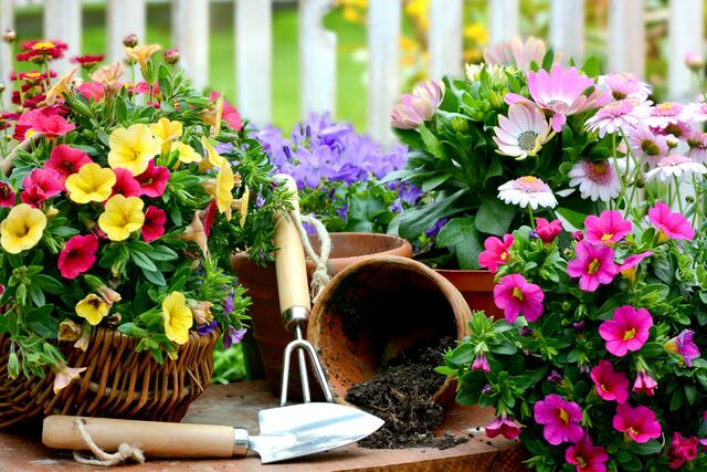 Gartentipps vom Fachmann Gartenkalender Garten im April Enns