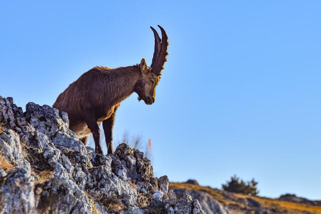 Foto: Lysann Hoffellner 