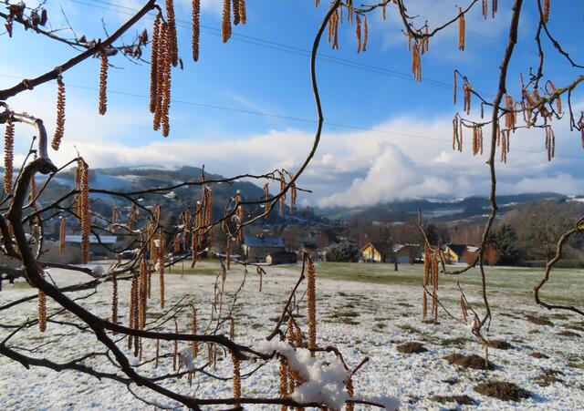 Zwei Jahreszeiten auf einem Bild bei Gresten.