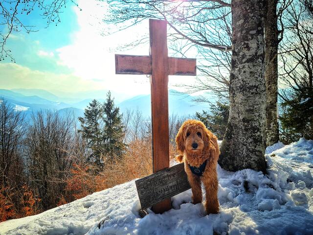 Am Glatzberg in Waidhofen an der Ybbs | Foto: Hahn Christian
