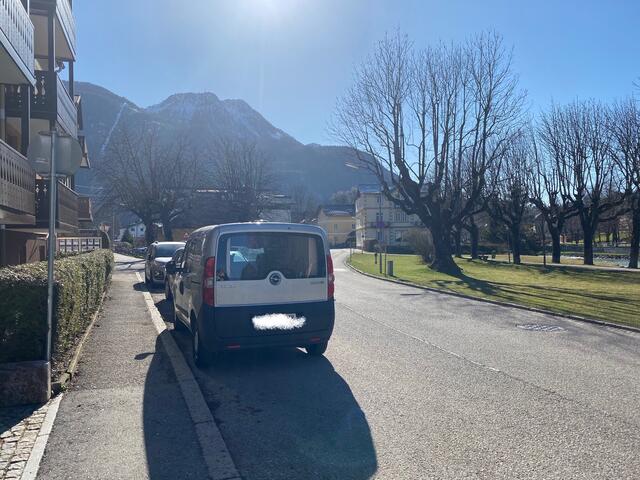 Standort: Traunkai nahe Taubersteg. Hier sind nur 30 km/h erlaubt.