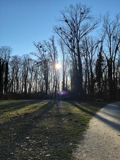 Es gibt doch nichts besseres, als bei Sonnenschein, einen angenehmen Spaziergang beim Schloss Pottendorf zu genießen.