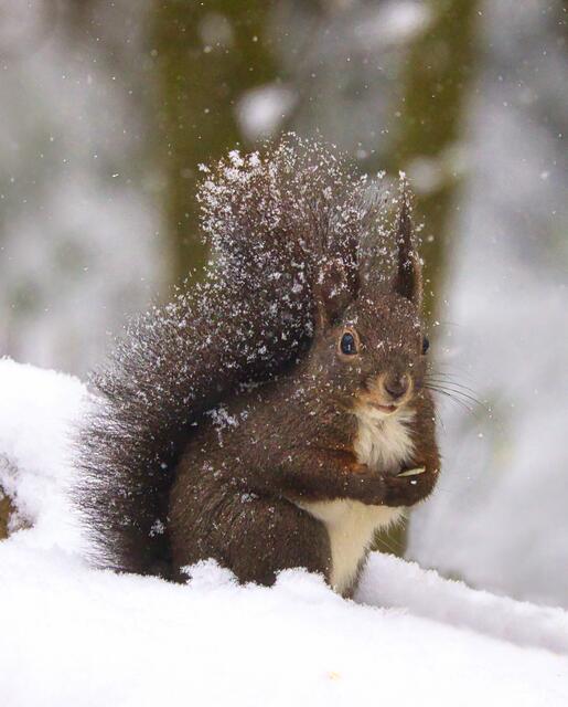 Heute mussten die kleinen frieren..😢