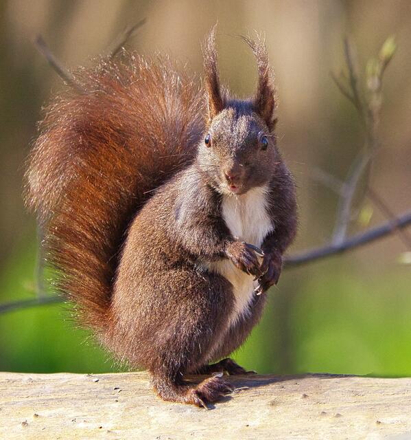 Heute im Tullner Wasserpark..