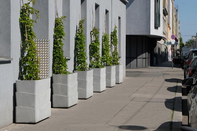 So sehen die "BeRTA"-Module aus. | Foto: Julia Beck - tatwort