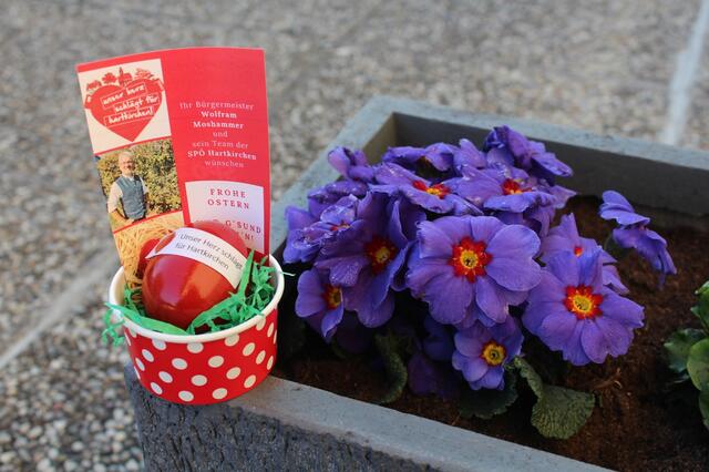 Die SPÖ Hartkirchen versteckte heuer kleine Osternester in der Gemeinde. | Foto: SPÖ