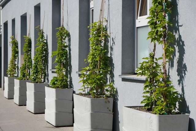 Foto: Julia Beck – tatwort