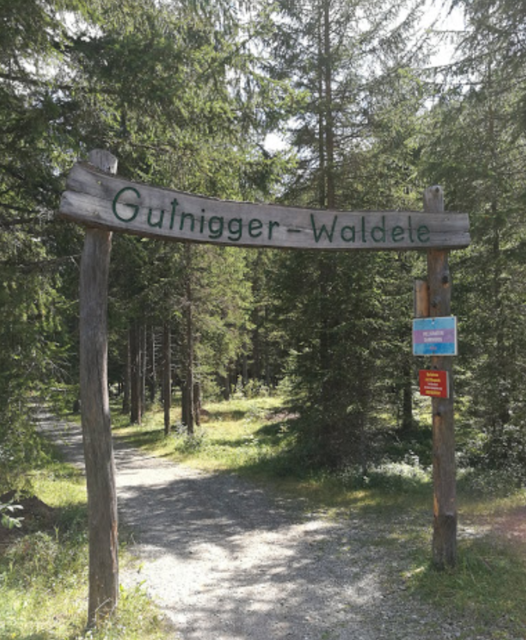 Gutnigger-Waldele