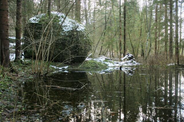 Foto: Birgit Frank
