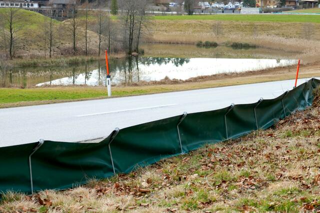 Entlang des Krummsees wurde wieder ein rund 450 Meter langer Amphibienzaun mit 27 Kübeln installiert. | Foto: Florian Haun