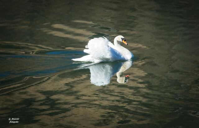 ..........oh,ich zieh lieber meine Runden am See......