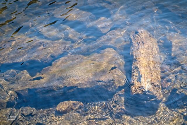 ......und schauen,wie klar das Wasser ist......