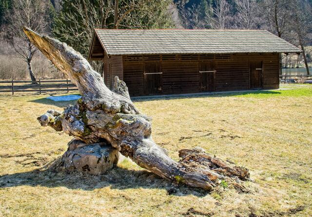 ............der hat auch seinen fixen Platz am See......