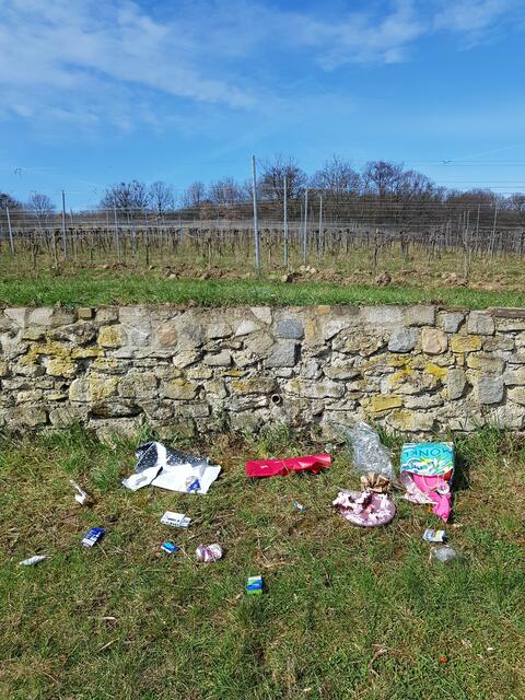 Der Mist einiger könnte bald zum Problem aller werden. | Foto: Fuchs