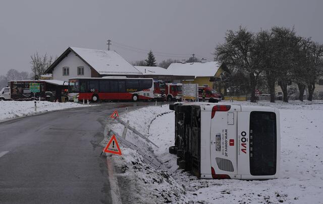 Foto: Daniel Scharinger