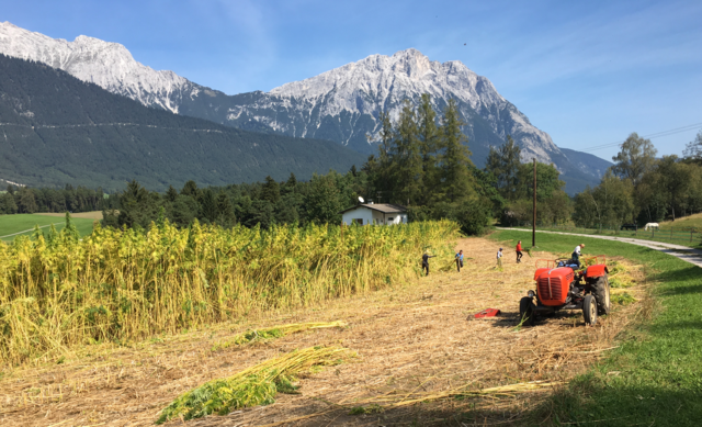 Der kleine Traktor kommt sehr selten zum Einsatz, hier ein Mähversuch mit dem Mähbalken.