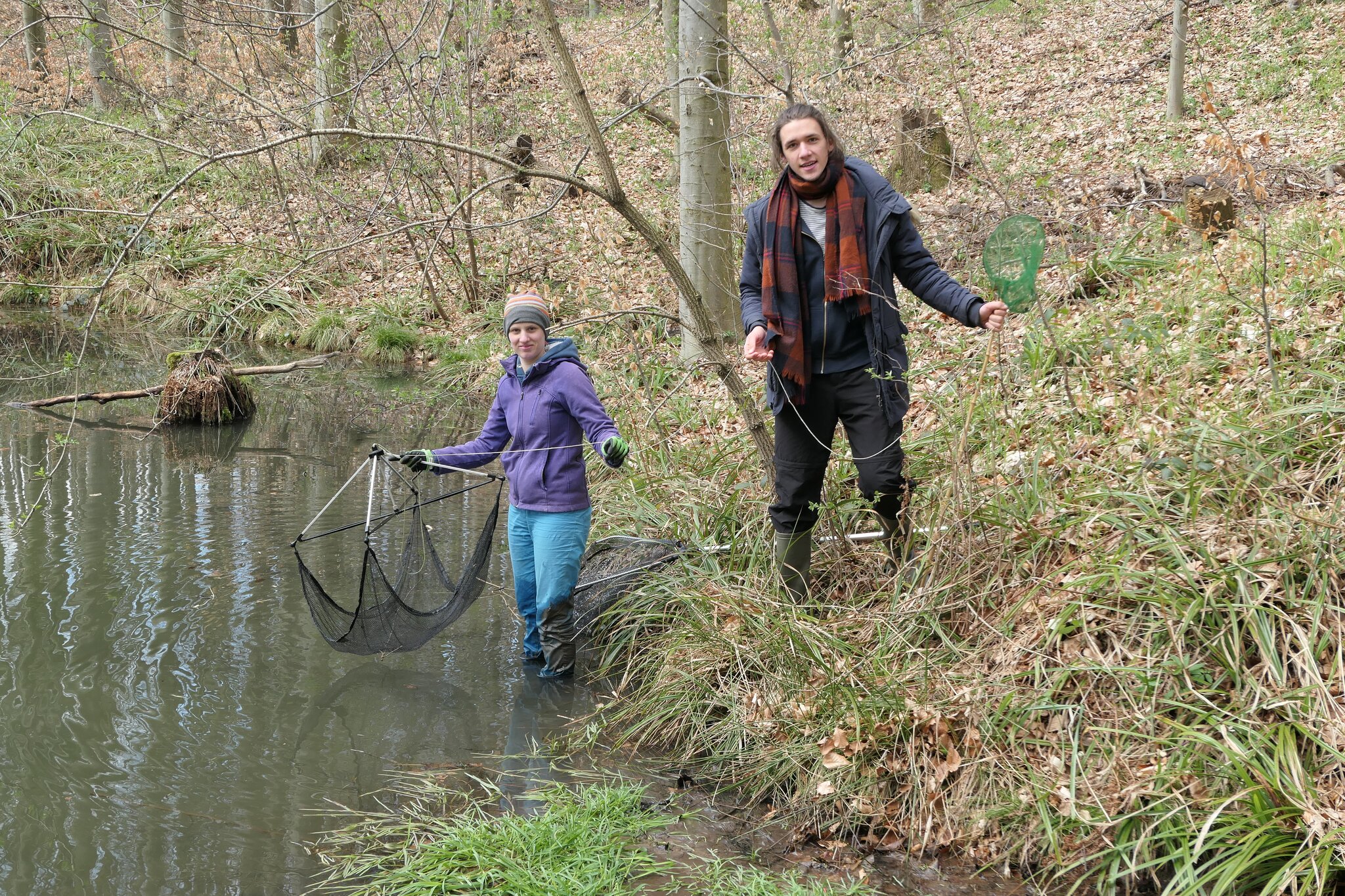 Natur und Umwelt Zurück in den Gartenteich (mit Video) Purkersdorf