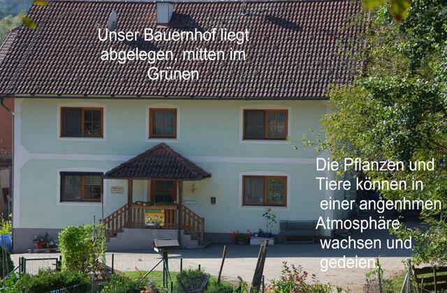 Der Biohof von Elisabeth und Johann Weidenholzer in Taufkirchen/Trattnach hält viele Köstlichkeiten bereit. | Foto: Weidenholzer