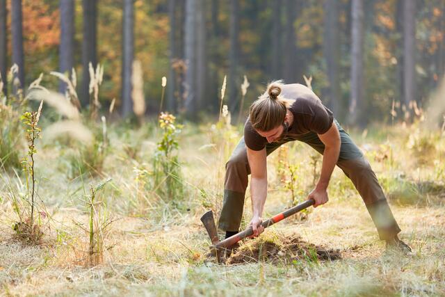 Jäger pflanzen Sträucher und Bäume und schaffen so Lebensräume für alle wildlebenden Tierarten und Insekten. | Foto: stock.adobe.com