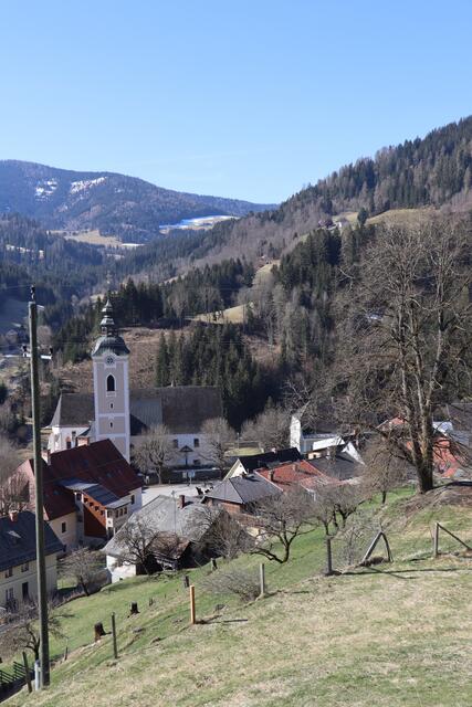 Metnitz Thema auf meinbezirk.at