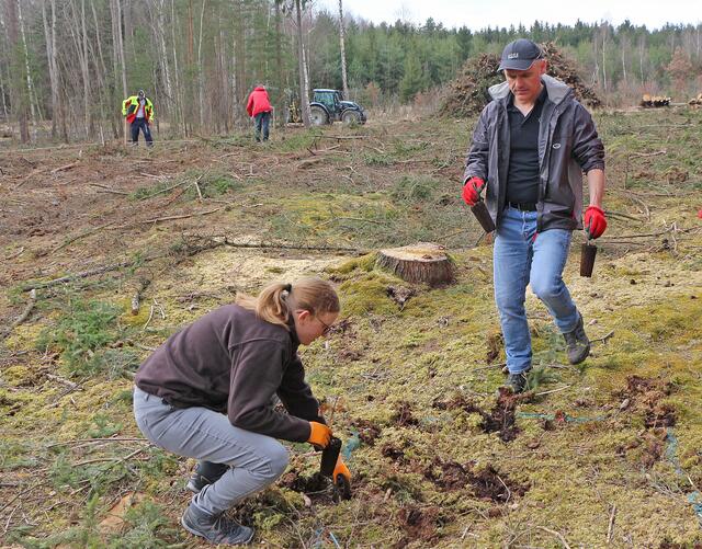 Im kleinen Kreis erfolgte der Auftakt der Waldsetzen.jetzt-Aktionstage: Elf „Helden des Waldes“ pflanzten 430 Bäume. Mit dabei waren (von links) unter anderen Thomas Göttinger (rechts) und seine Teamkollegin Christa Hauer.