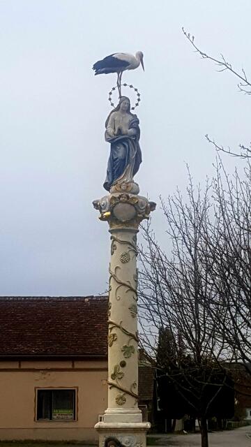 Auf der Mariensäule machte es sich der Zugvogel gemütlich. | Foto: Kulturverein Grenzgänger