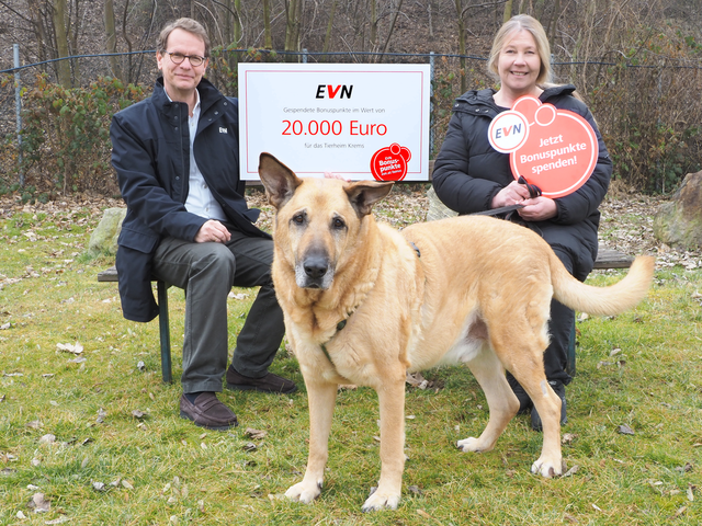 EVN Vorstandssprecher Stefan Szyszkowitz, Tierheimleitern und Obfrau Nina Zinnenburg sowie Hund Rocco freuen sich über die Spenden.