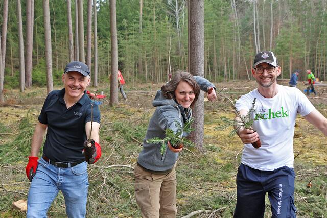 Projektinitiator Thomas Göttinger, Viktoria Hutter (Vertreterin des Waldverbands NÖ) und Strategieentwickler Manfred Ergott (Druckerei Janetschek) freuen sich über einen gelungenen Saisonstart von waldsetzen.jetzt.