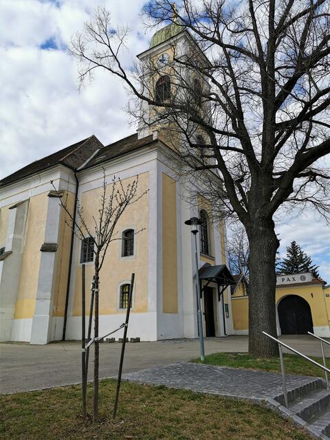 Die 123 Jahre alte Kaisereiche steht am Kirchenvorplatz, daneben ein nachgesetztes Bäumchen.