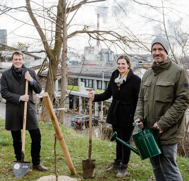 Der Grüne Landesrat Stefan Kaineder (l.) begrüßte Victoria Buschberger und Max Ratzenböck mit einem Baum als Geschenk.
 | Foto: Grüne OÖ 