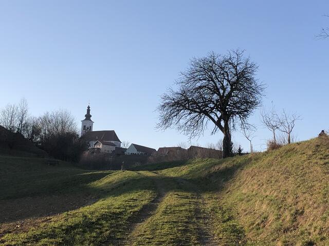 Blick auf die wunderbare Wallfahrtskirche am Frauenberg von Leibnitz kommend. Ein Besuch lohnt sich zu jeder Jahreszeit. | Foto: Waltraud Fischer