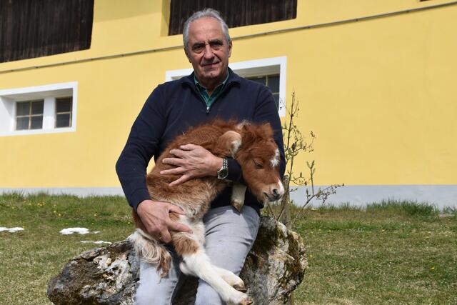 Richard Nuck mit dem Mini-Shetlandpony-Fohlen Fiona.