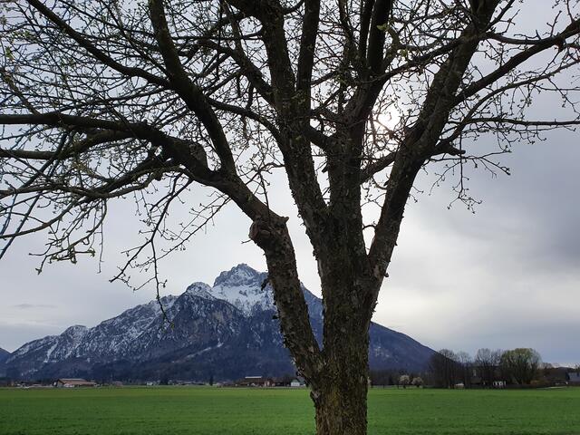 Der geheimnisvolle Untersberg 