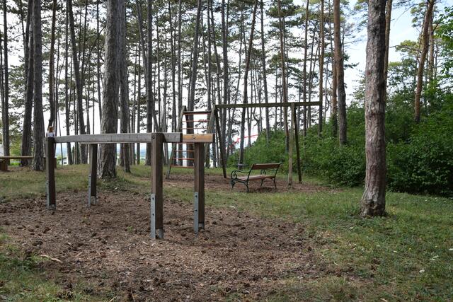 Der Spielplatz im Föhrenwald Hornstien