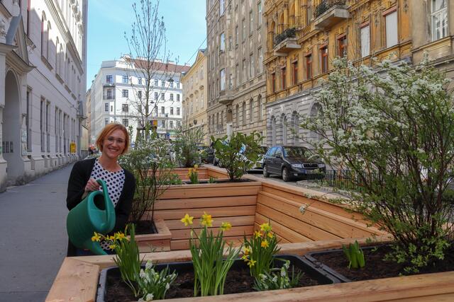 Wiedens Bezirkschefin Lea Halbwidl beim frisch bepflanzten Parklet in der Phorusgasse. | Foto: BV 4