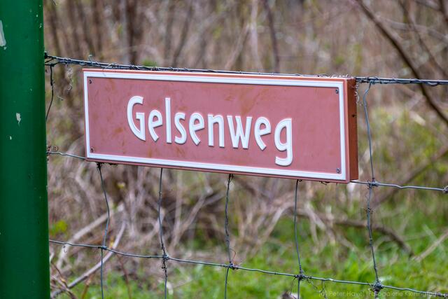 Der Gelsenweg im Standbad | Foto: www.gelsengitter.at
