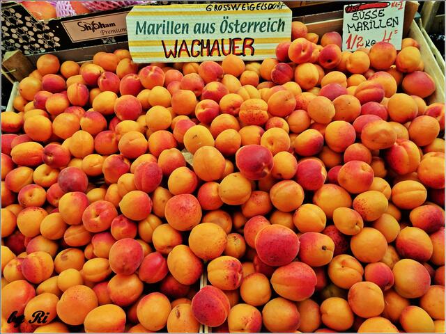 Der geplante Spitzer Marillenkirtag wird wegen Corona auf 2022 verschoben.