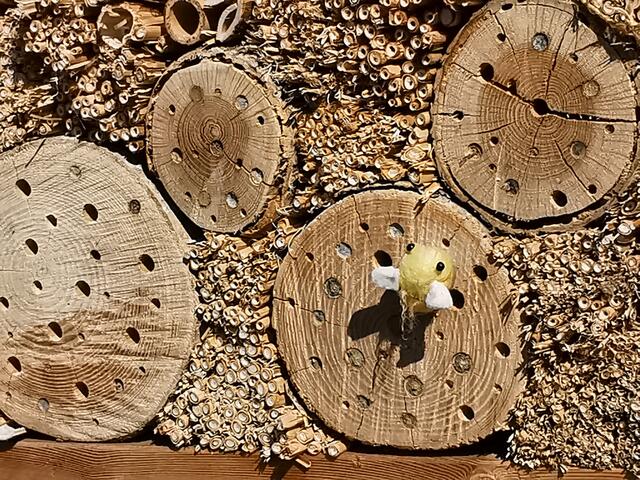 Insektenhotels bieten Nistplätze für unser kleinsten Mitbewohner | Foto: Hermine Arnold