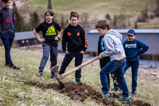 "Bamerl setzen": Schüler aus Mariazell helfen beim Anlegen einer Streuobstwiese. 40 Obstbäume werden gesetzt.