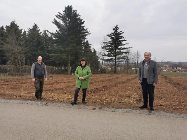 Bezirksförster Rupert Klinghofer, Grüne Stadträtin Sabine Fasching und Bürgermeister Alfred Babinsky.