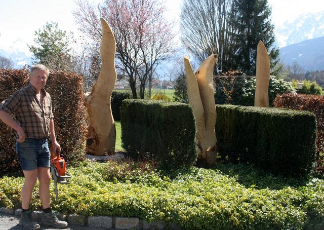 Beim Stamm in der Mitte auf dem Foto handelt es sich um eine sogenannte „V-Zwiesel“. Dabei bildet der Baum seinen Stamm nicht mehr aus einem, sondern aus zwei oder mehreren Trieben aus.