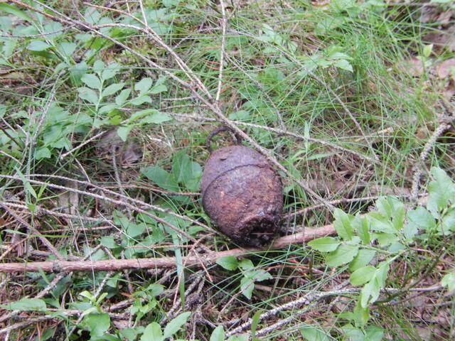 Eine Handgranate wie diese wurde am 15. April in einem Wörgler Garten bei Grabungsarbeiten entdeckt. (Symbolfoto) | Foto: Polizei/BB Archiv