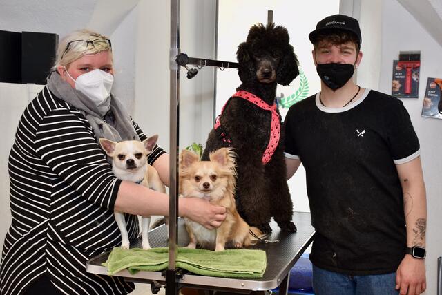 Eine Kundin mit ihren Chihuahuas Jimmy und Zeus zu Besuch im Hundesalon von Felix Martin Rabensteiner und seiner Pudel-Dame Luna