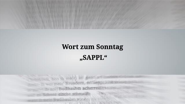 Bitte was ist ein Sappl?
