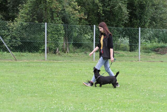 In der Hundeschule kann man ab sofort wieder trainieren.