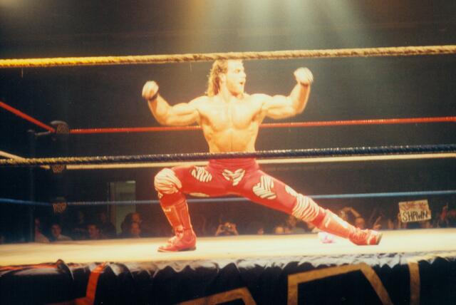 World Wrestling Federation Damals & Heute WWF WRESTLING TOUR in