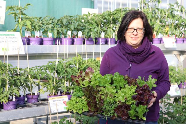 Angelika Sattler gibt viele hilfreiche Tipps.